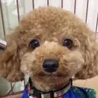 ユーザー画像