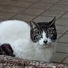ユーザー画像