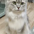 ユーザー画像