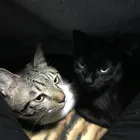 ユーザー画像