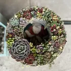 ユーザー画像