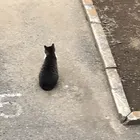 ユーザー画像