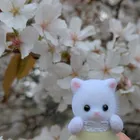 ユーザー画像