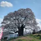 ユーザー画像