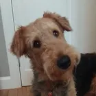 ユーザー画像