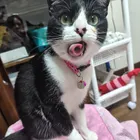 ユーザー画像