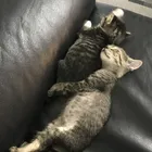 ユーザー画像