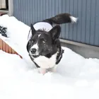 ユーザー画像