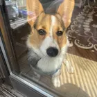 ユーザー画像