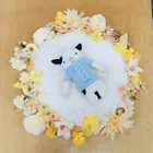 ユーザー画像