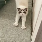 ユーザー画像