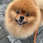 ユーザー画像