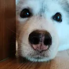 ユーザー画像