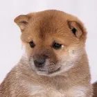 ユーザー画像