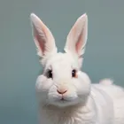 ユーザー画像