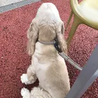 ユーザー画像