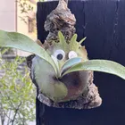 ユーザー画像