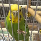 ユーザー画像