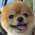 ユーザー画像