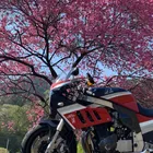 ユーザー画像