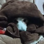 ユーザー画像