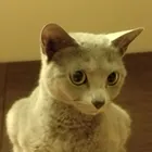 ユーザー画像