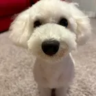 ユーザー画像