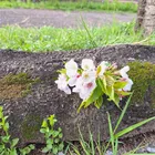 ユーザー画像