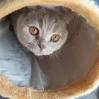 ユーザー画像