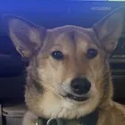 ユーザー画像