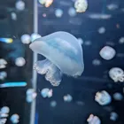ユーザー画像