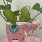 ユーザー画像