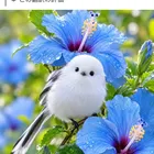 ユーザー画像