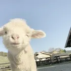 ユーザー画像
