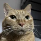 ユーザー画像