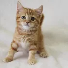 ユーザー画像