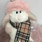 ユーザー画像