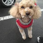 ユーザー画像