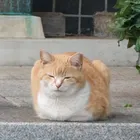 ユーザー画像