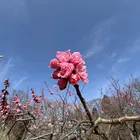 ユーザー画像