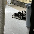ユーザー画像