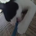 ユーザー画像