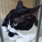 ユーザー画像