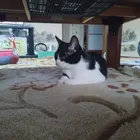 ユーザー画像