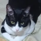 ユーザー画像