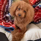 ユーザー画像