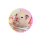 ユーザー画像