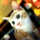 ユーザー画像