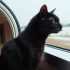 ユーザー画像