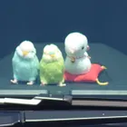 ユーザー画像